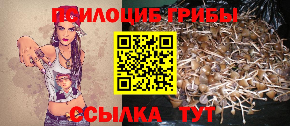 Кувандык  Псилоцибиновые грибы MAGIC MUSHROOMS  Вход с VPN 